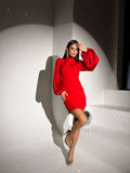 Mock Neck Puffed Satin Sleeve Body-con Mini Dress