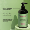 Mielle Organics Rosemary Mint Strengthening Shampoo 355ml