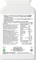 Marine Collagen Multi — 60 Capsules