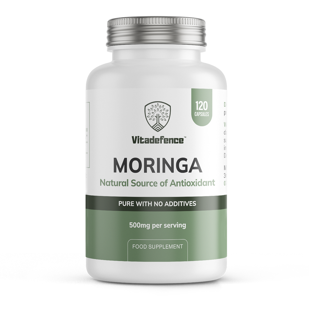 Moringa Oleifera | 500 mg Vegan Capsules – 120 Count